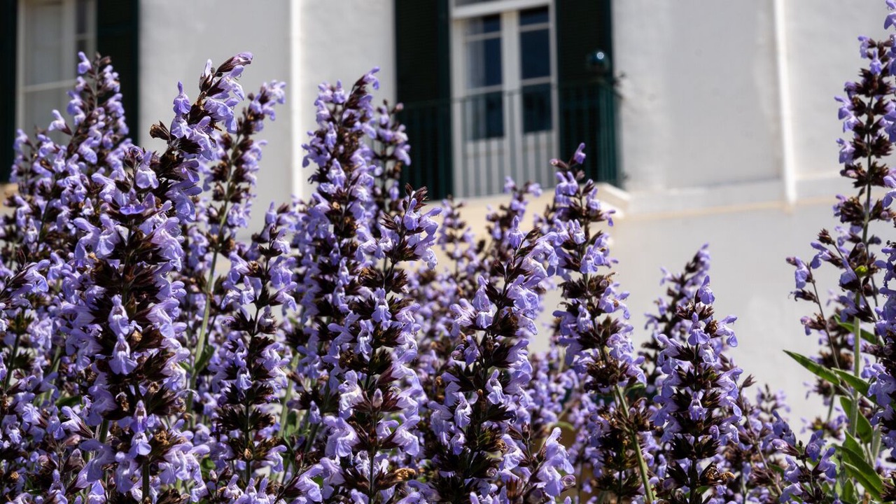 Photo of Outdoor in Villa Convento