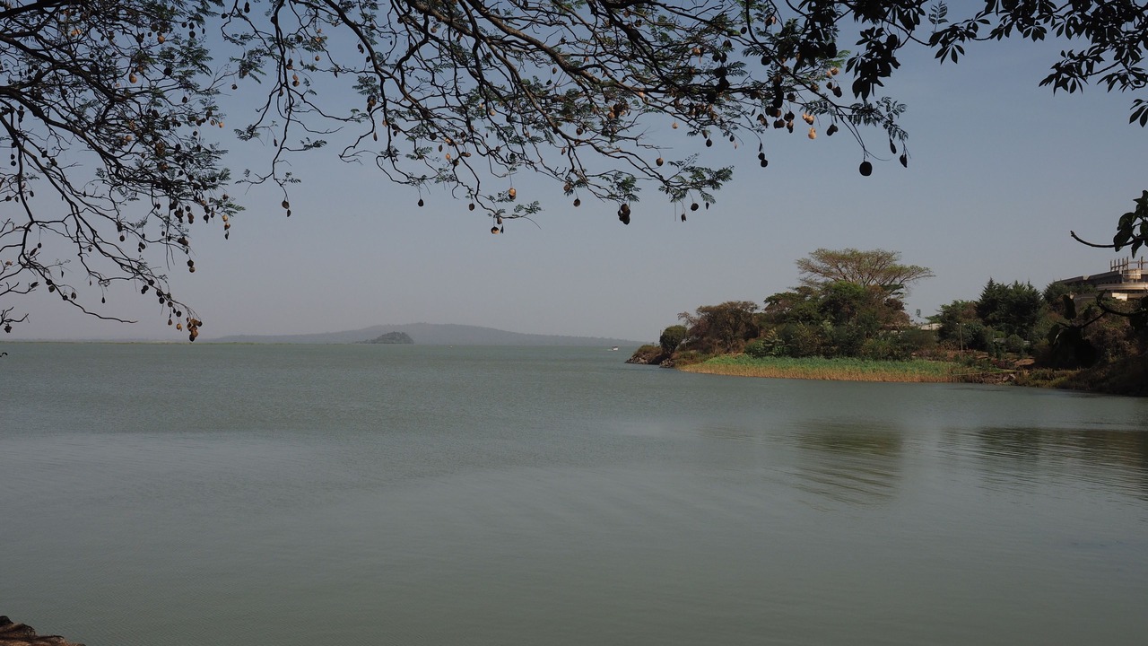 Photo of Others in Bahir Dar