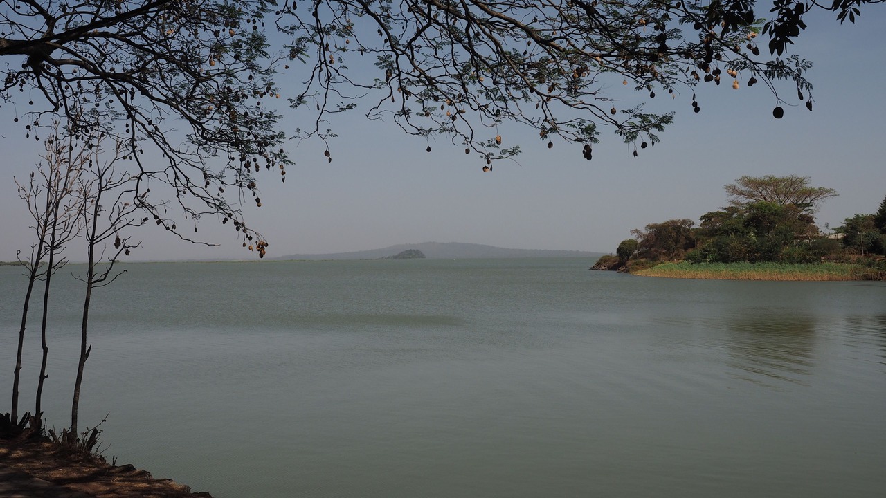 Photo of Others in Bahir Dar