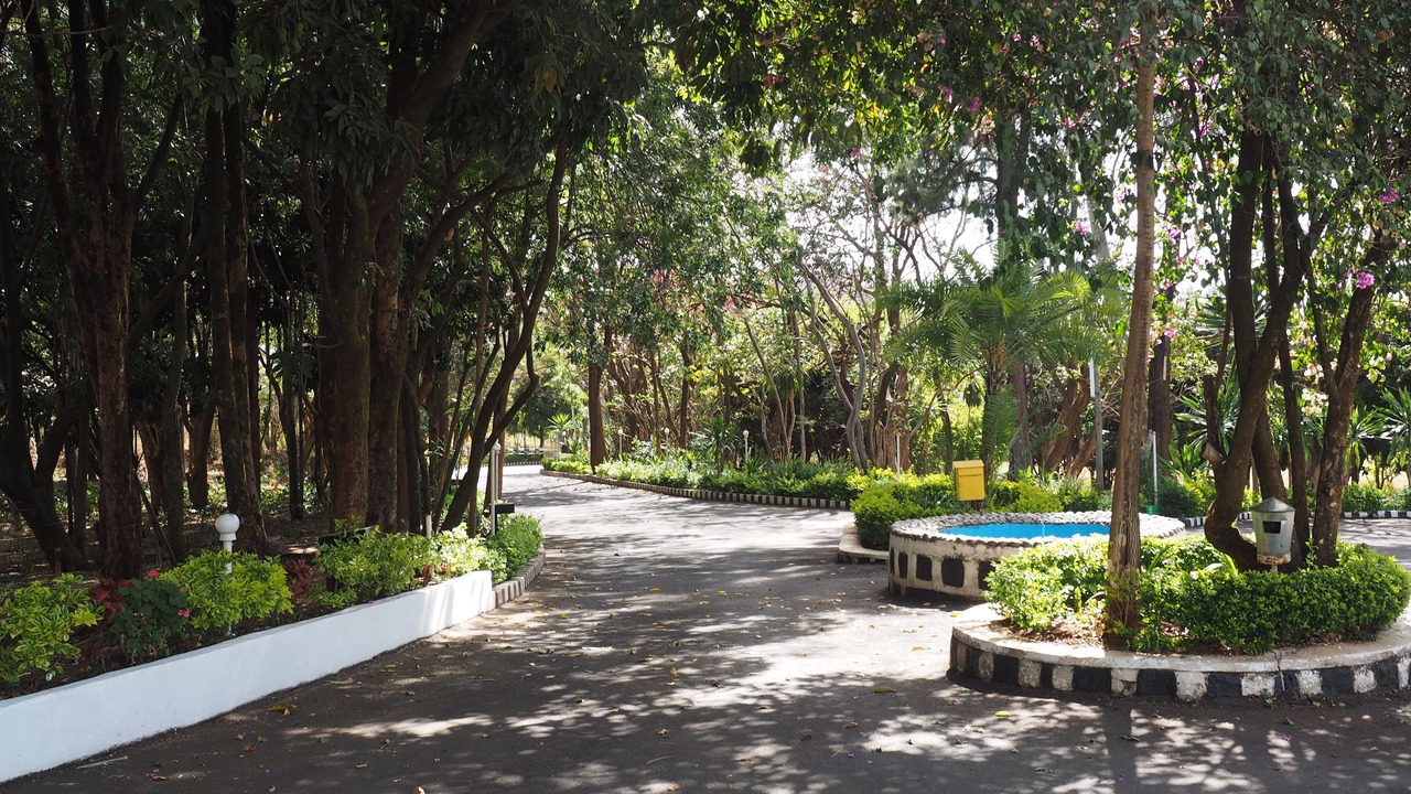 Photo of Outdoor in Bahir Dar
