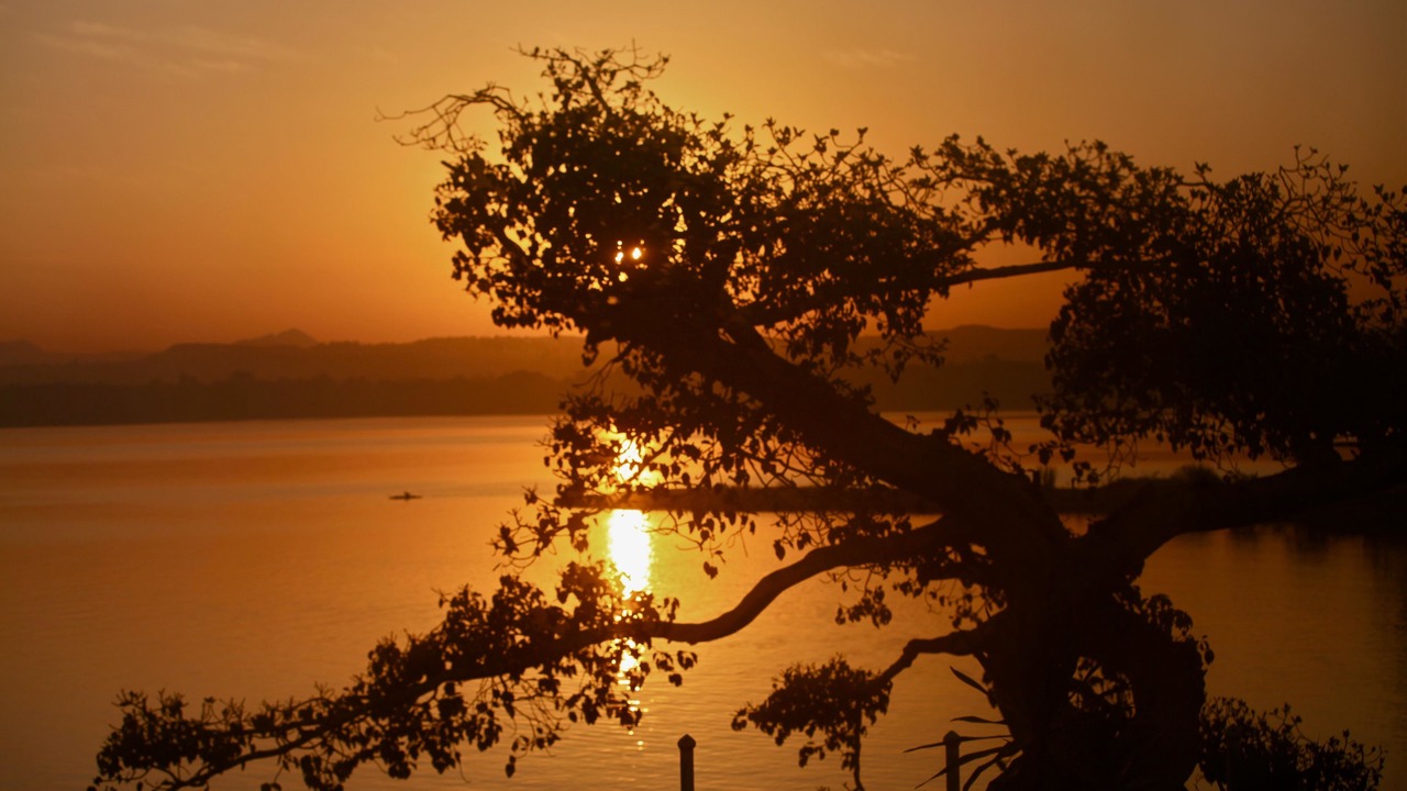 Photo of Others in Bahir Dar
