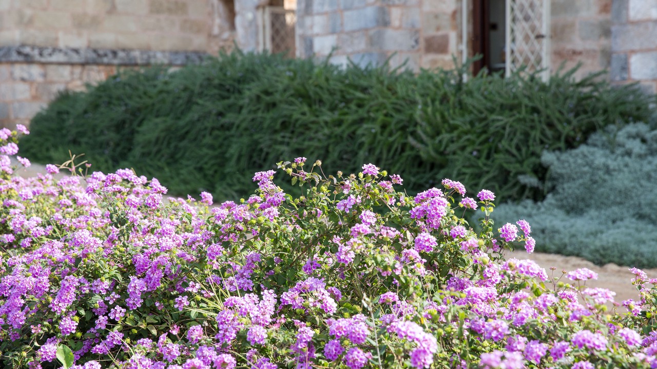 Photo of Outdoor in Ruffano
