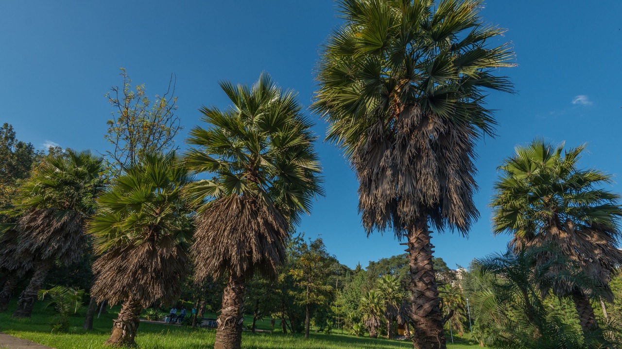 Photo of Outdoor in Kirkos