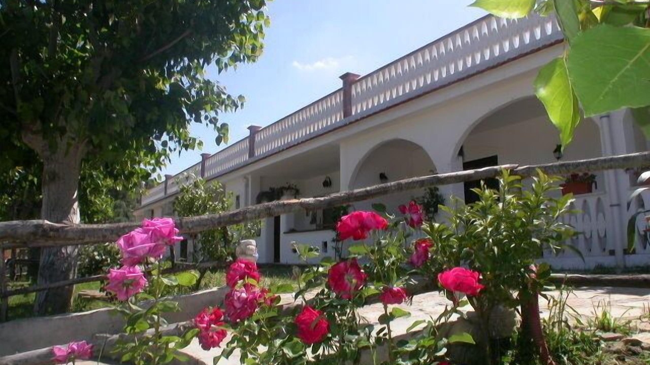Photo of Outdoor in Peschici