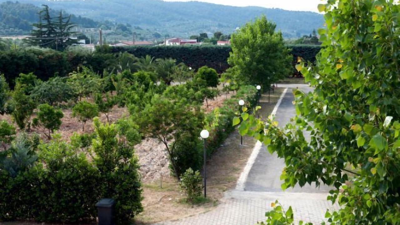Photo of Outdoor in Peschici