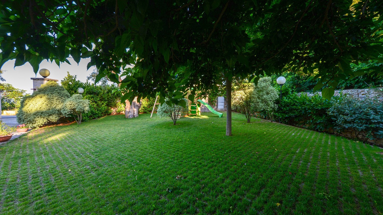 Photo of Outdoor in Selva di Fasano