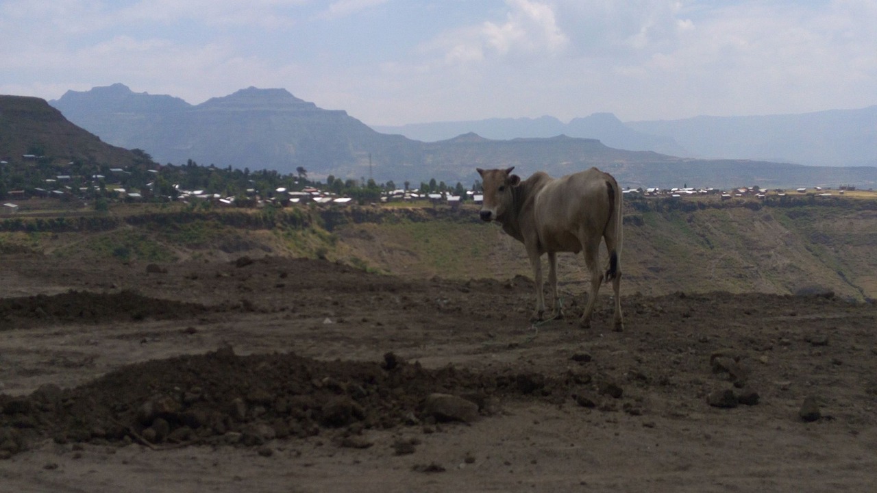 Photo of Outdoor in Lalibela
