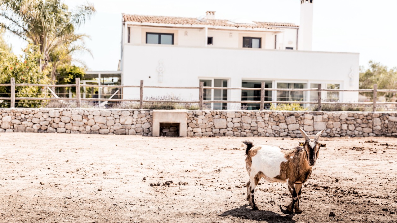 Photo of Outdoor in Otranto