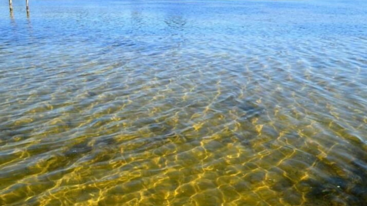 Photo of Others in Lesina Marina