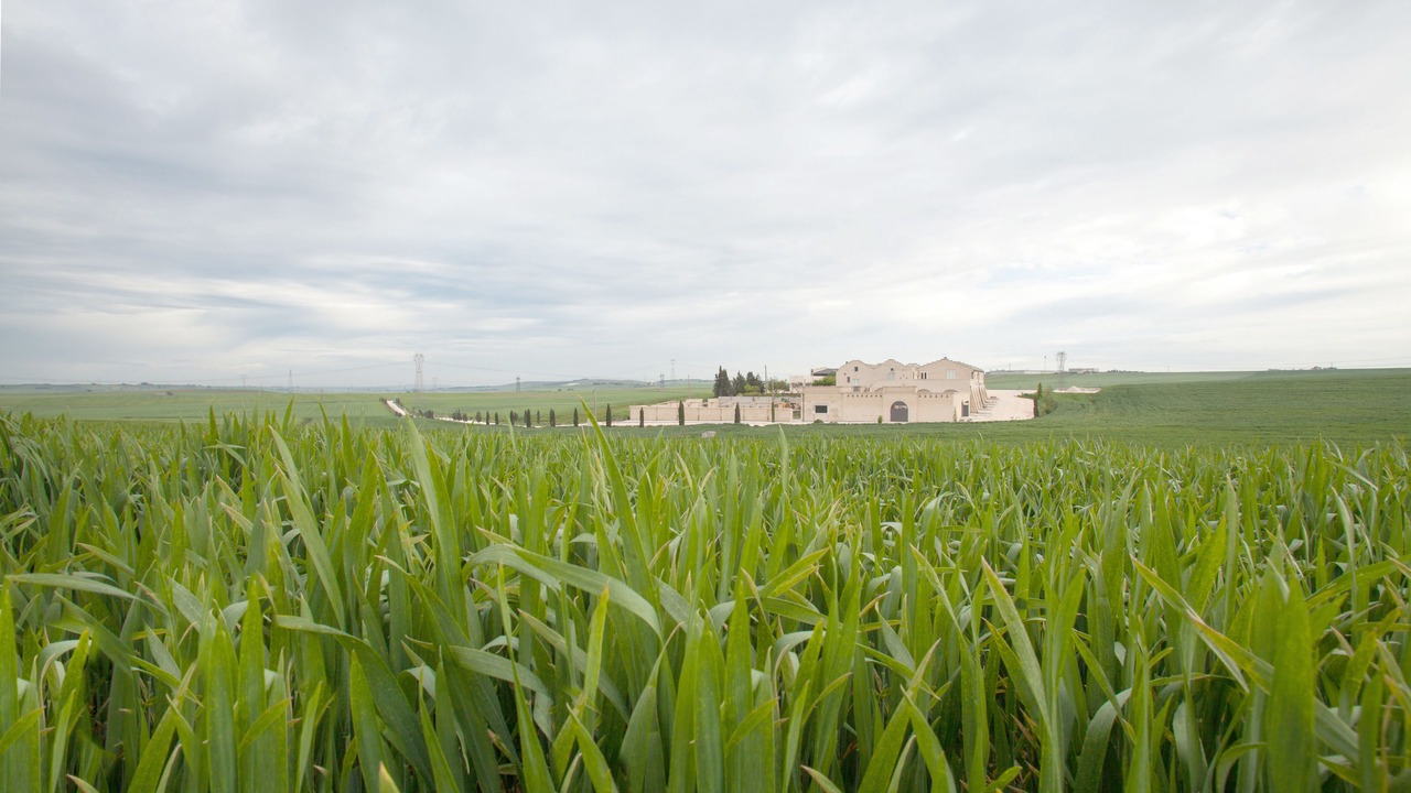 Photo of Others in Viglione