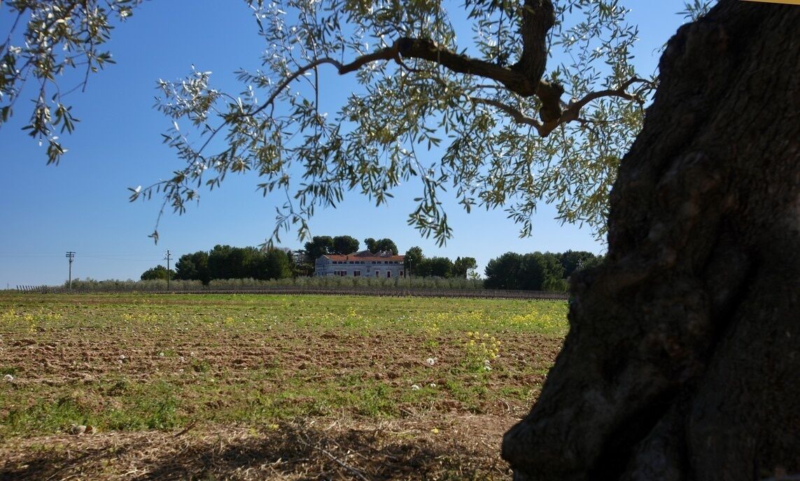 Photo of Others in Ruvo di Puglia