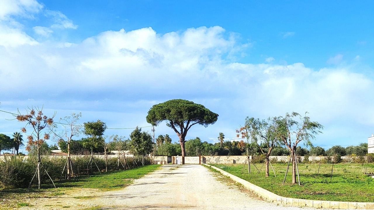 Photo of Others in Castromediano