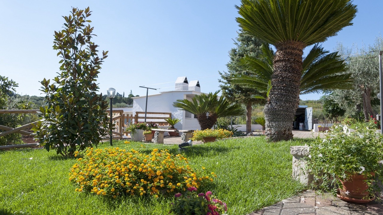 Photo of Outdoor in L'Assunta