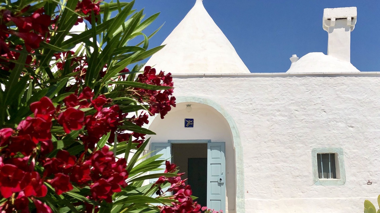 Photo of Outdoor in Fasano