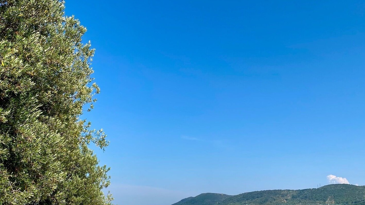 Photo of Outdoor in Fasano