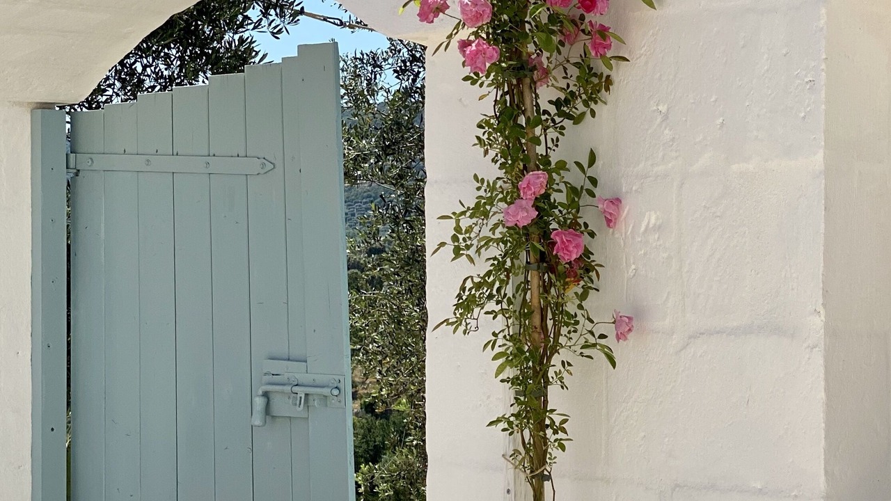 Photo of Outdoor in Fasano