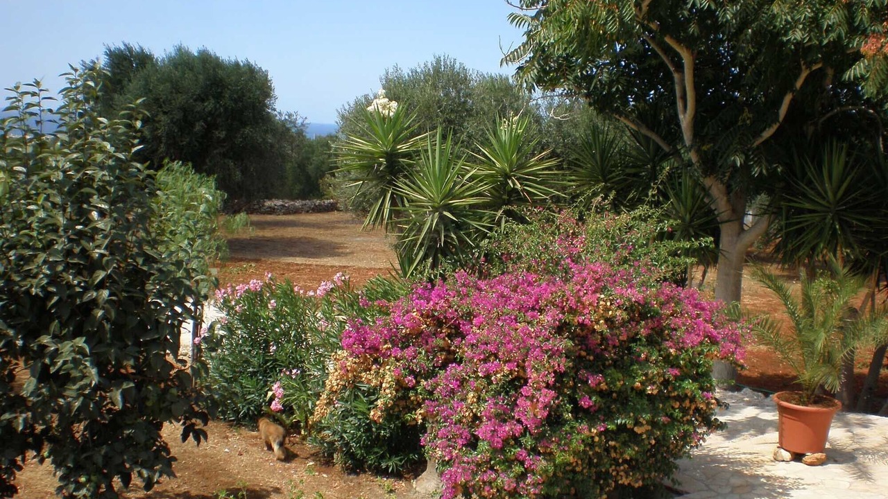 Photo of Outdoor in Torre Pali