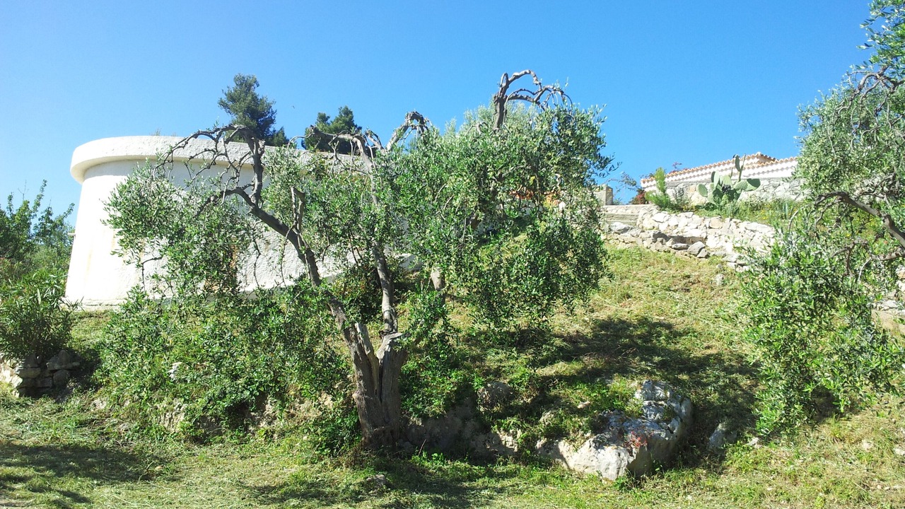 Photo of Outdoor in Peschici