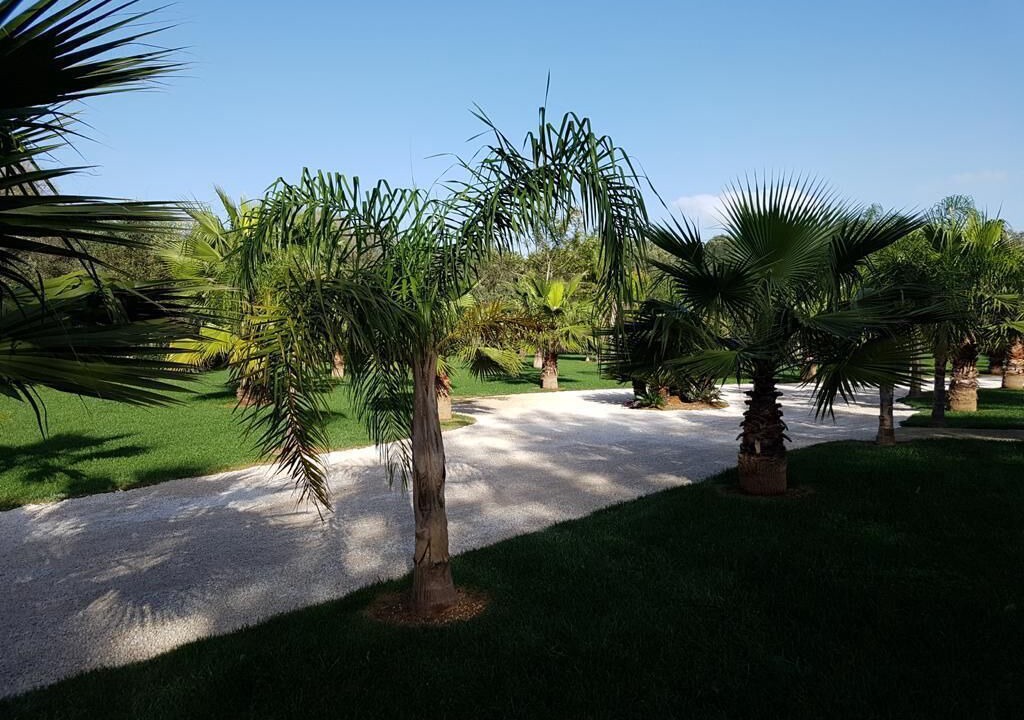 Photo of Outdoor in Mesagne
