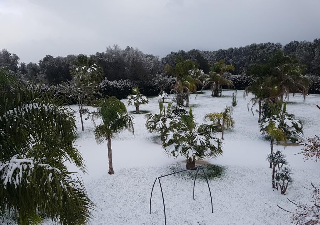 Photo of Outdoor in Mesagne