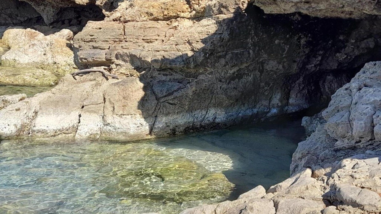 Photo of Others in Capilungo