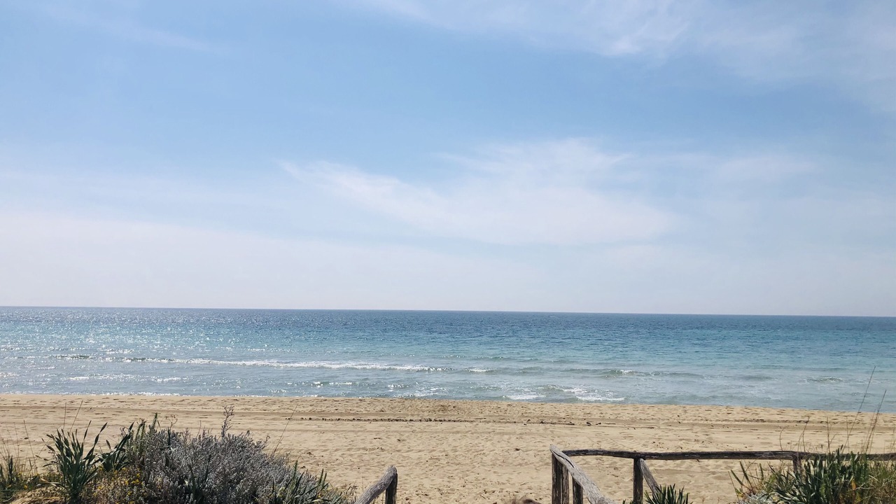 Photo of Others in Lido Marini