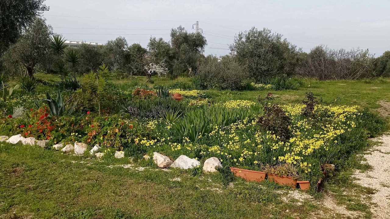 Photo of Outdoor in Molfetta