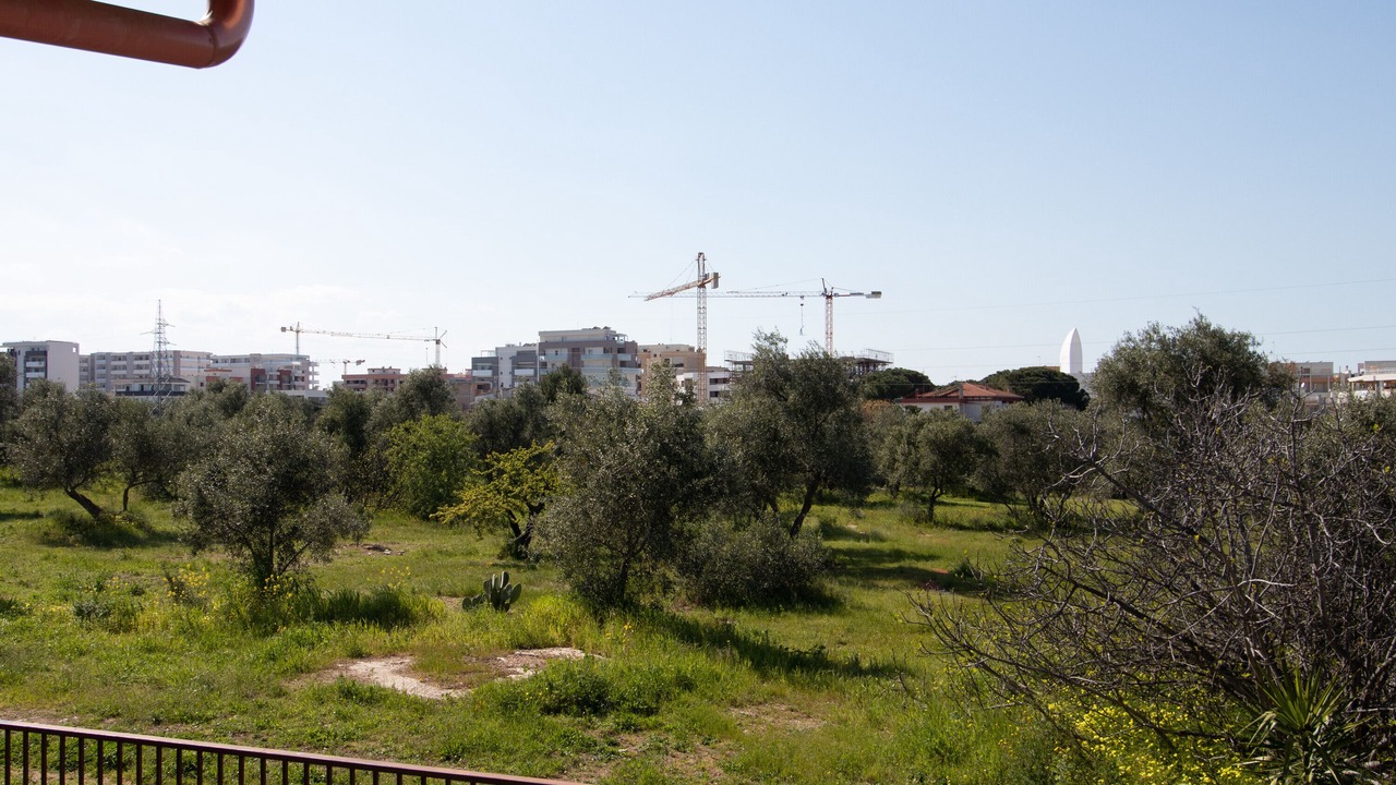 Photo of Others in Molfetta