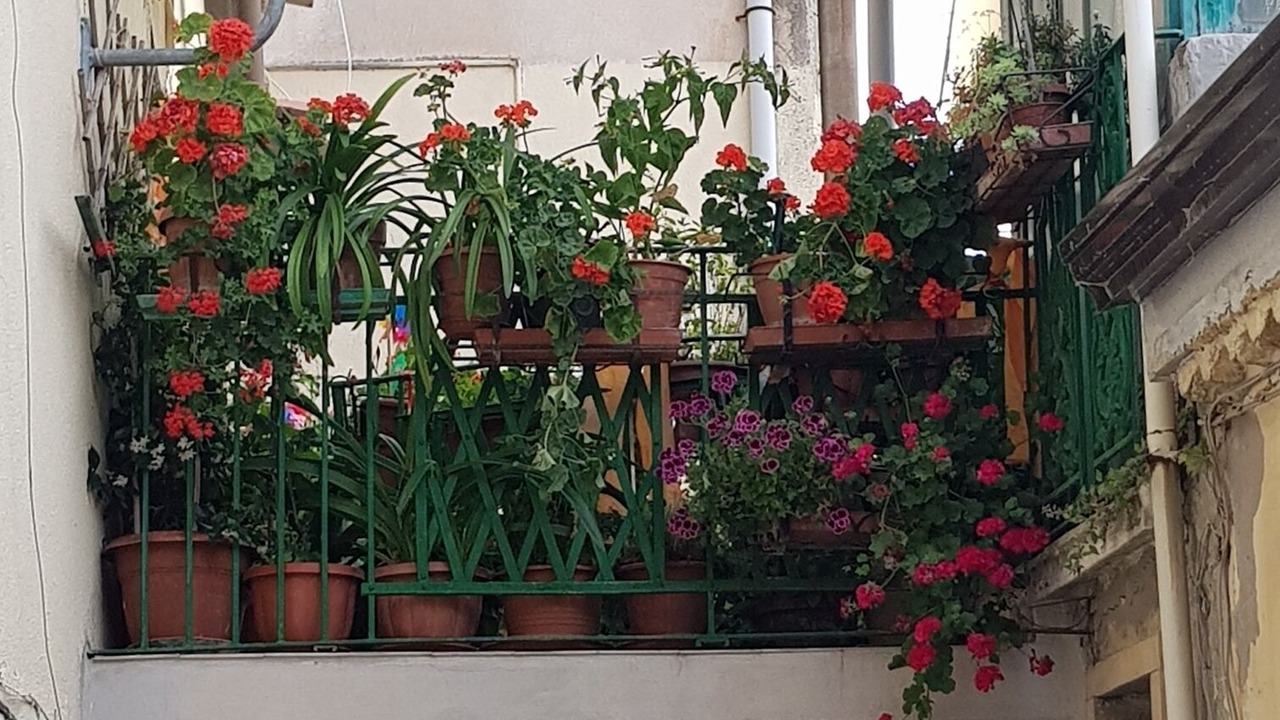 Photo of Outdoor in SantʼAgata di Puglia