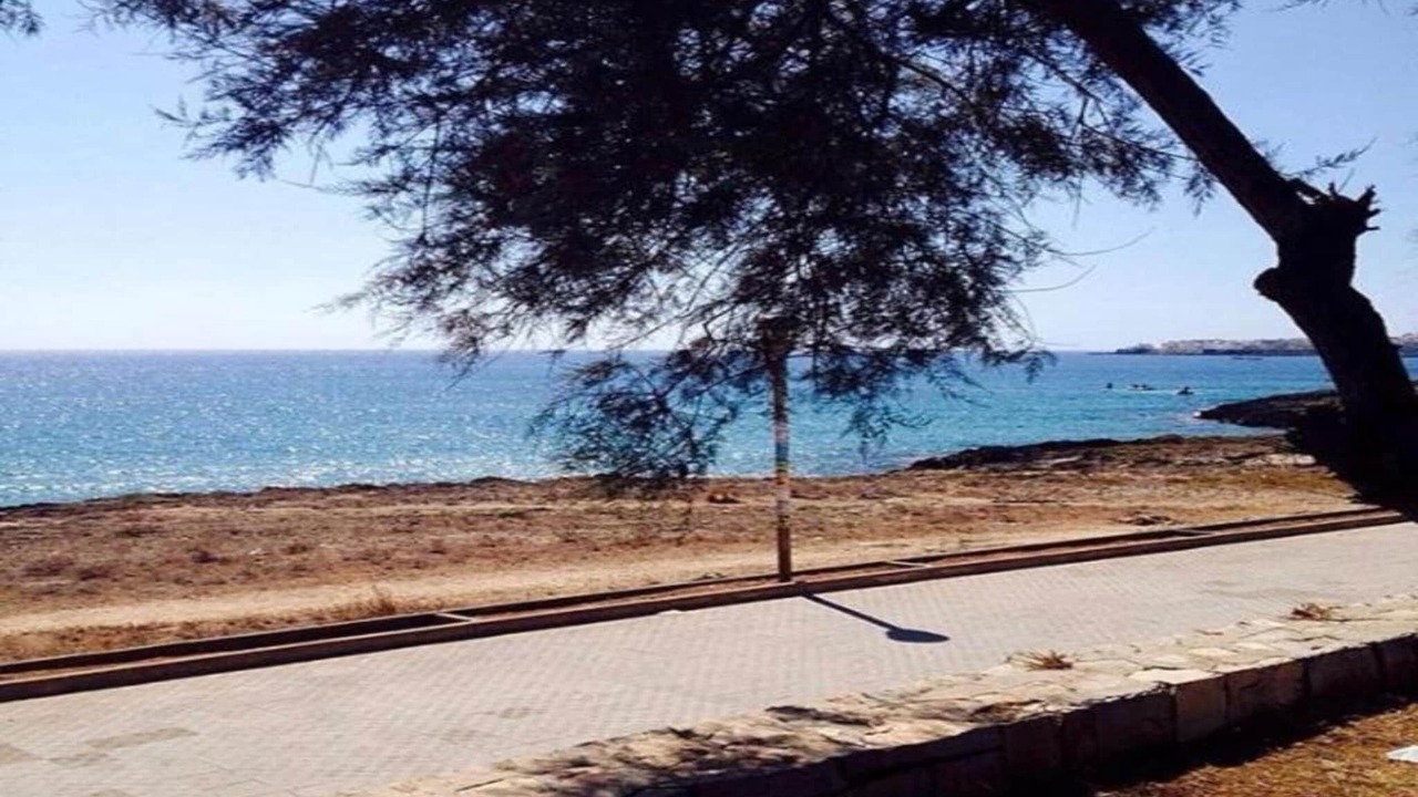 Photo of Others in Taviano