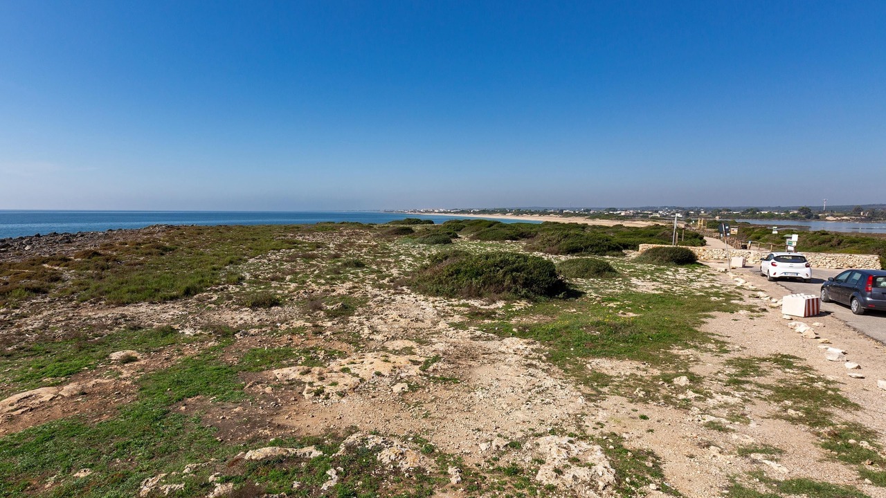 Photo of Others in Torre Colimena
