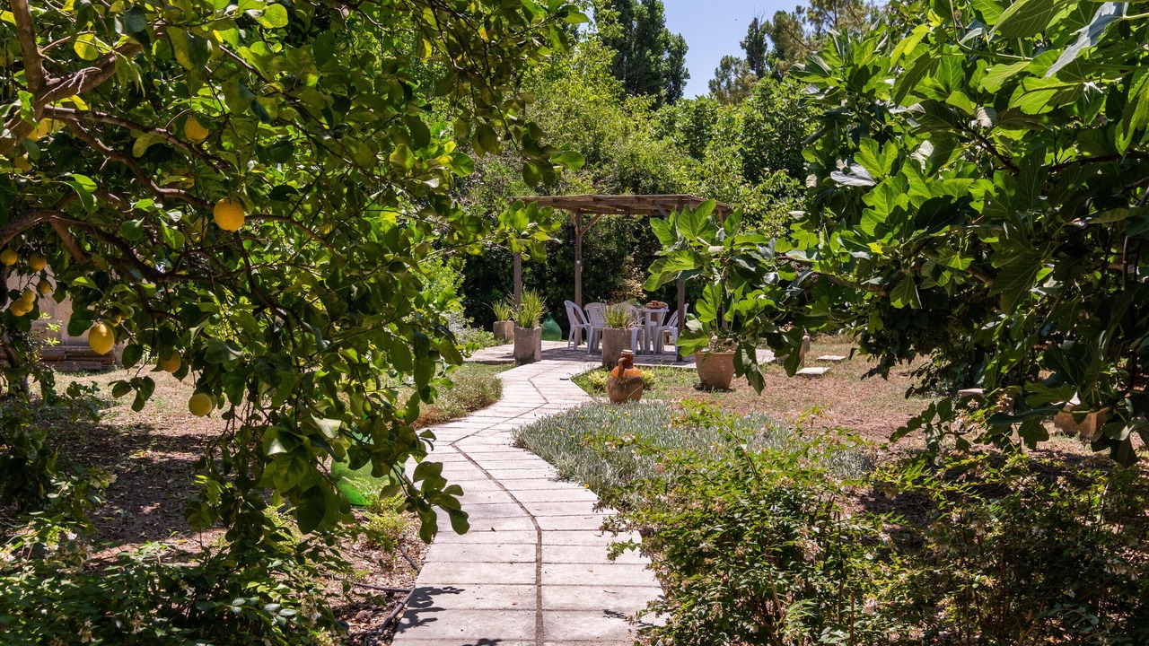 Photo of Patio Balcony in Muro Leccese