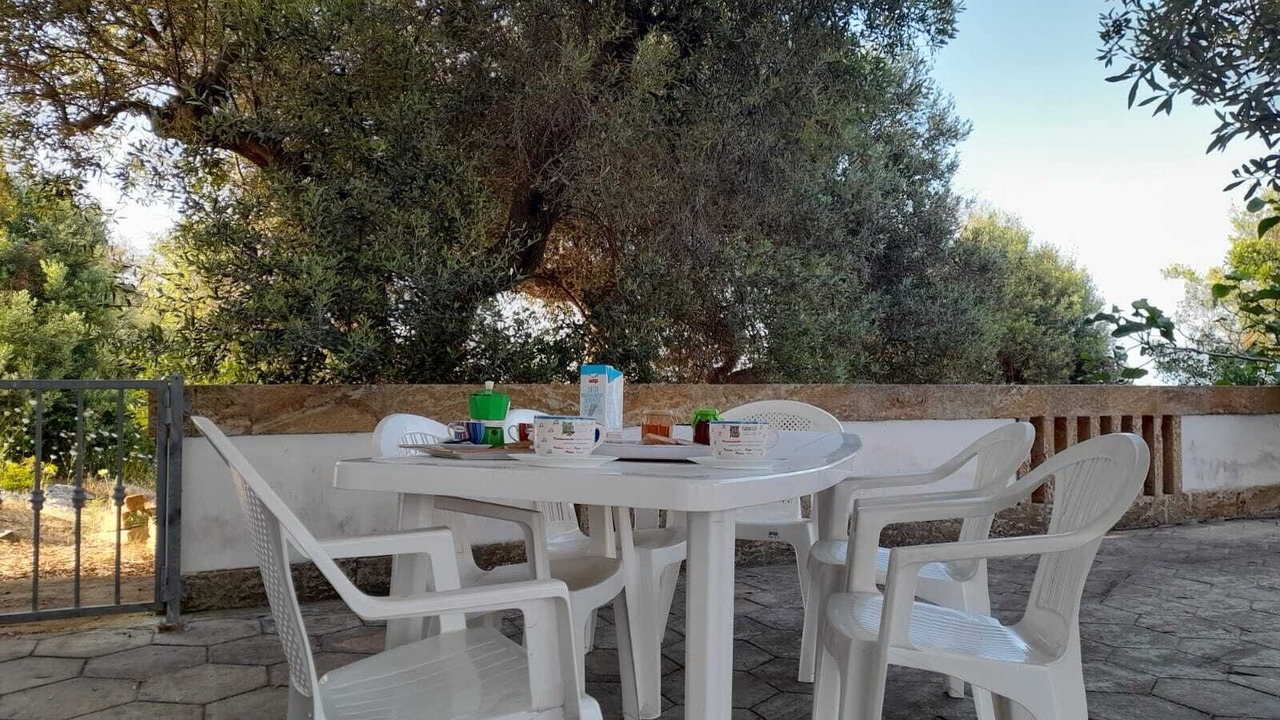 Photo of Outdoor in Marina Serra