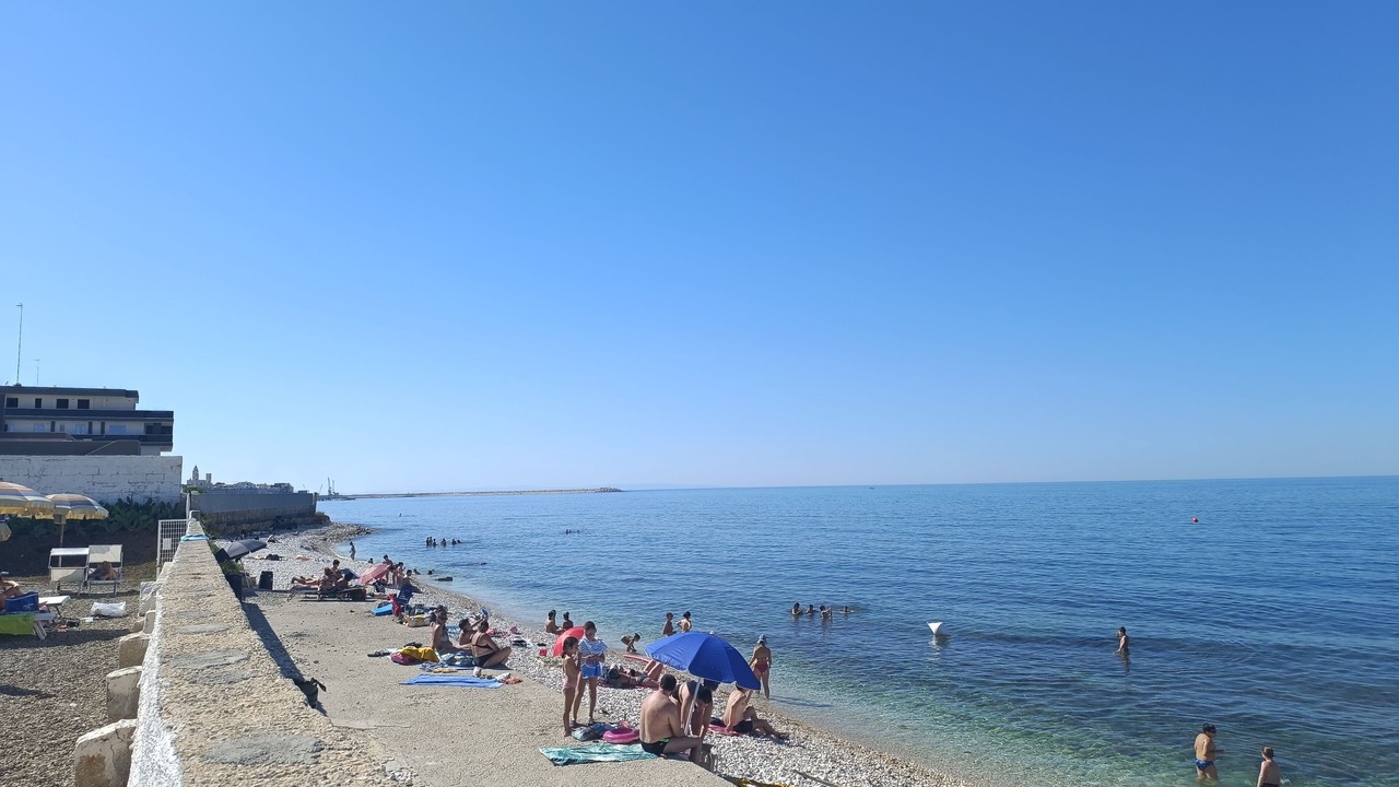 Photo of Others in Molfetta