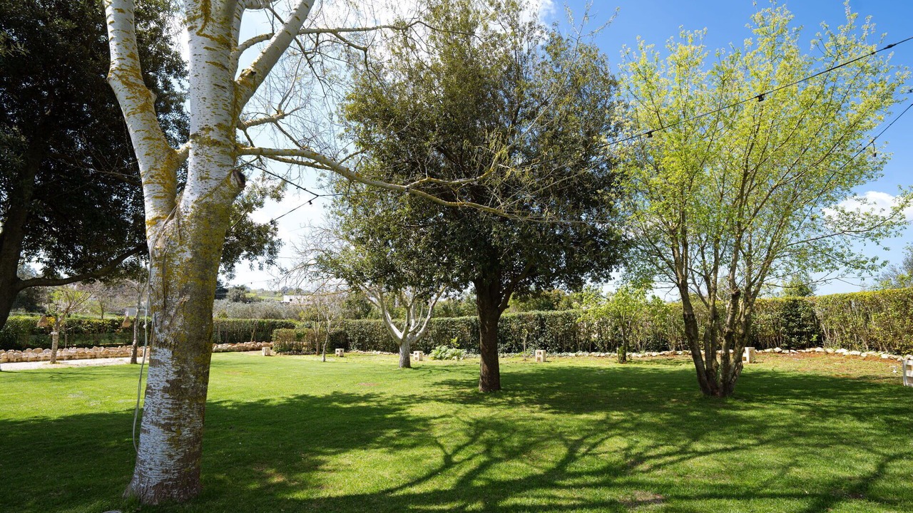 Photo of Others in Martina Franca