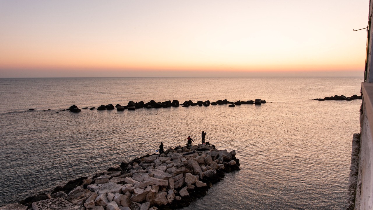 Photo of Others in Molfetta