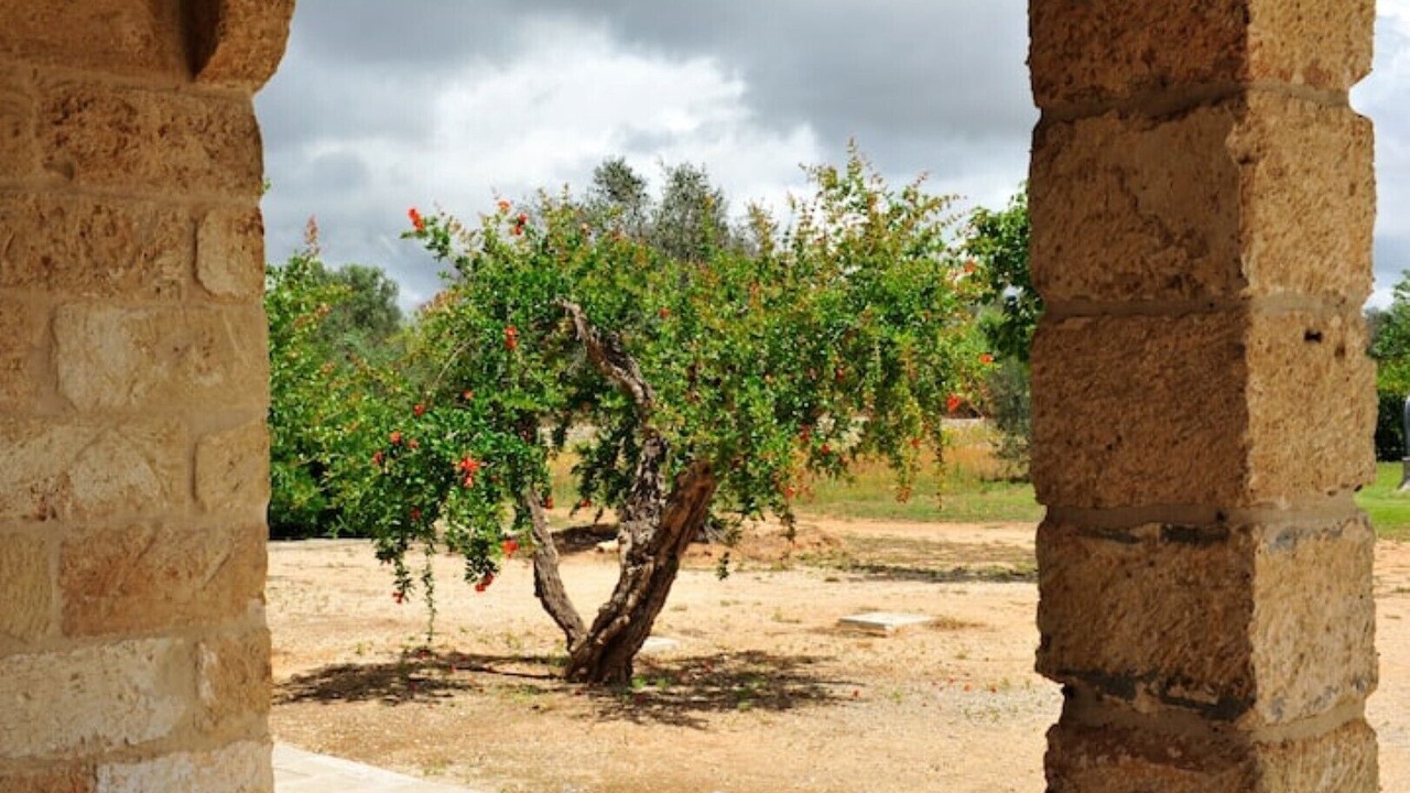 Photo of Outdoor in Specchia