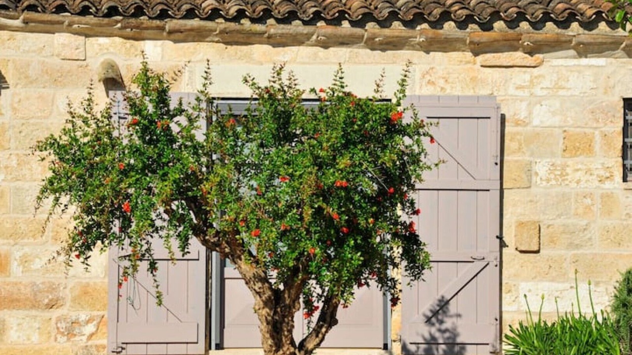 Photo of Outdoor in Specchia
