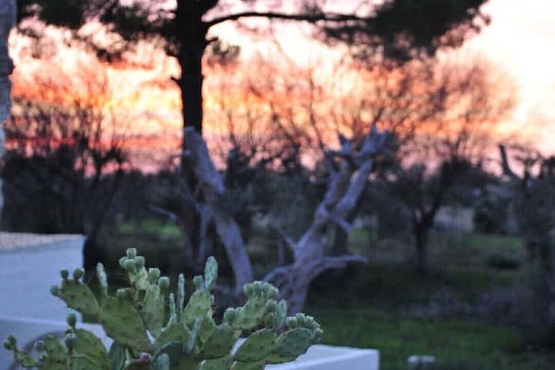 Photo of Outdoor in Specchia