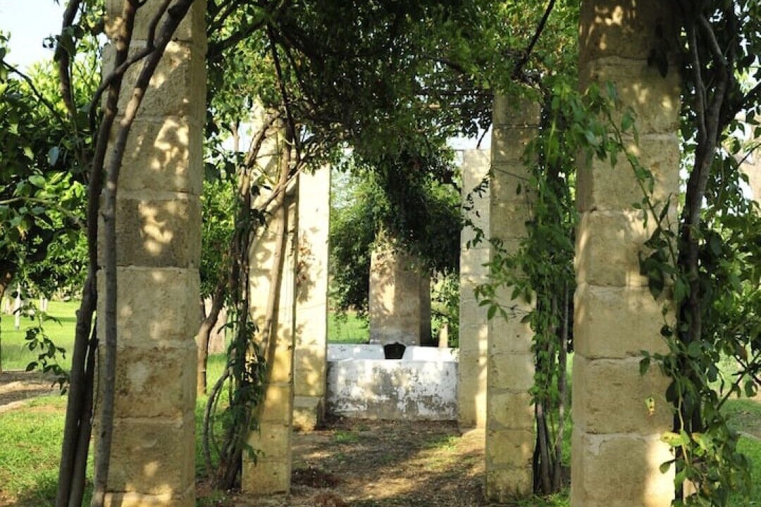 Photo of Outdoor in Specchia