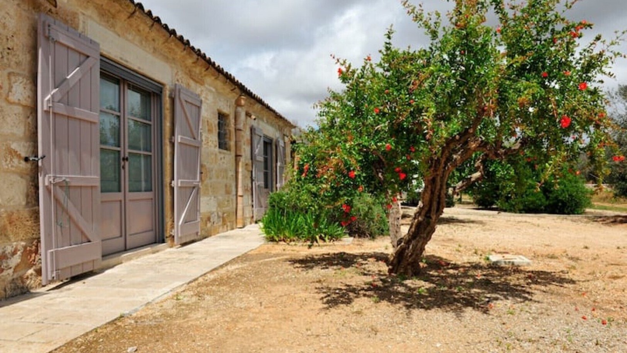 Photo of Outdoor in Specchia