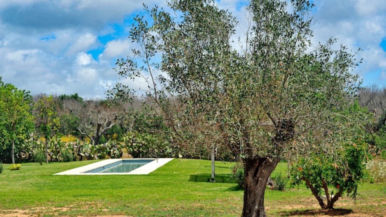 Photo of Outdoor in Specchia