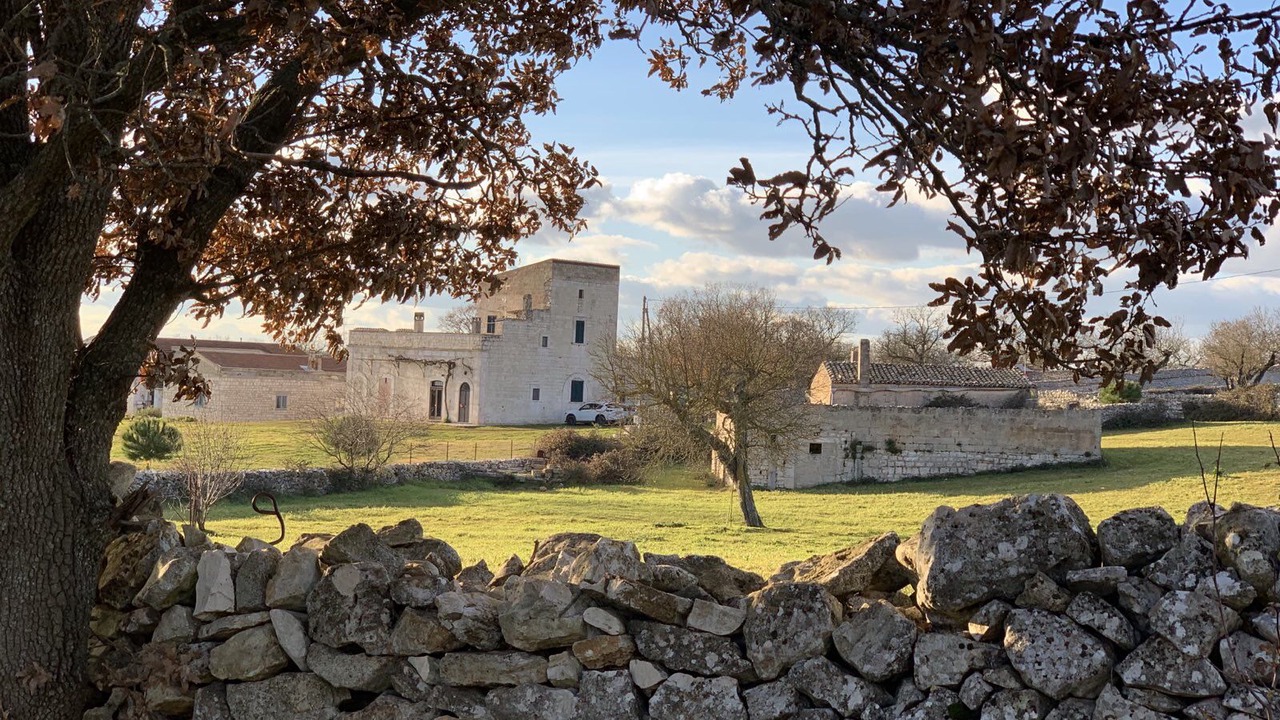 Photo of Others in Santeramo in Colle
