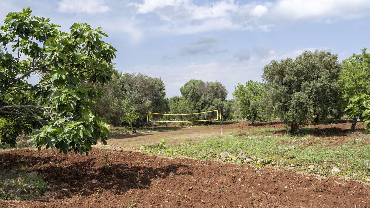 Photo of Others in Ceglie Messapica