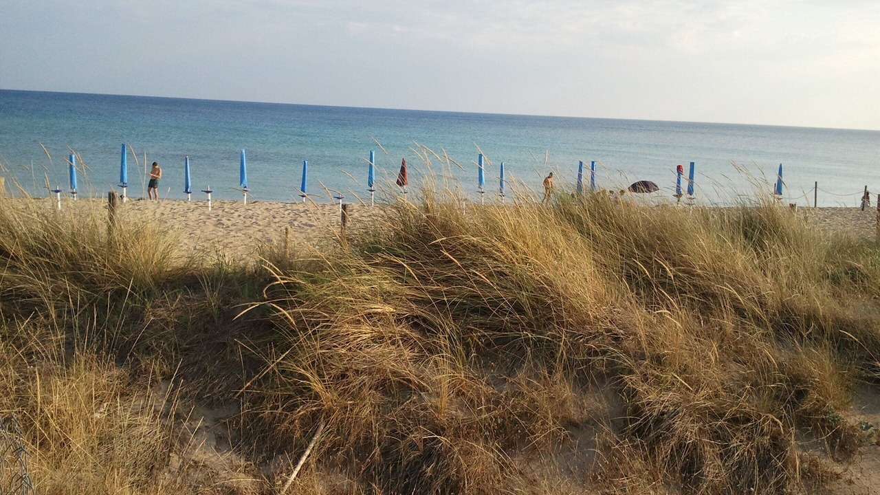 Photo of Others in Torre Castiglione