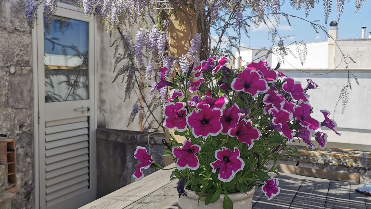 Photo of Outdoor in Andrano