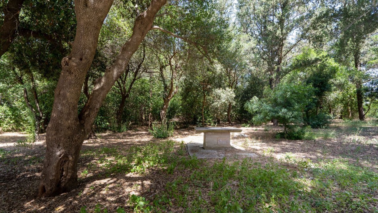 Photo of Outdoor in Cozzana
