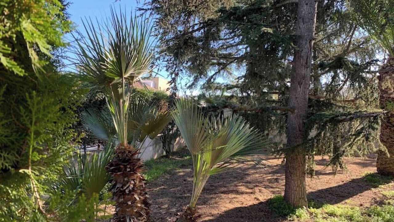 Photo of Outdoor in Bisceglie