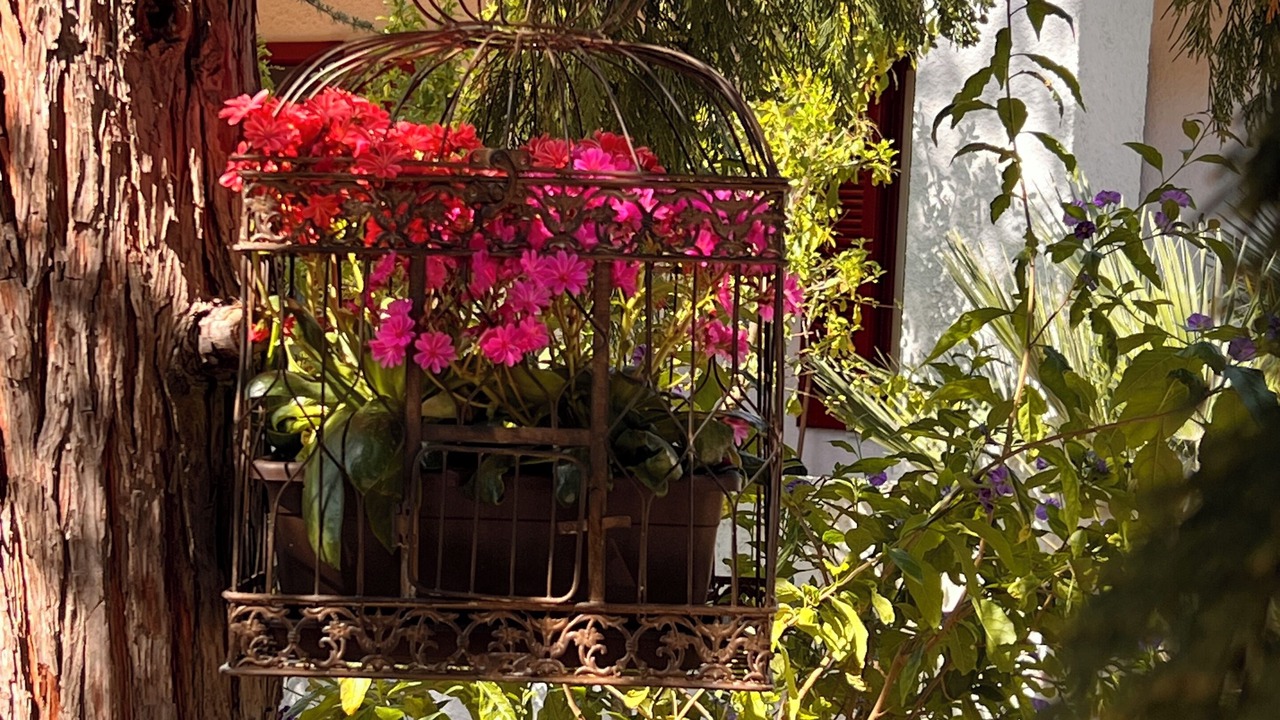Photo of Outdoor in Bisceglie