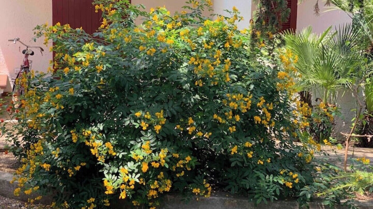 Photo of Outdoor in Bisceglie